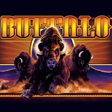 Buffalo slot
